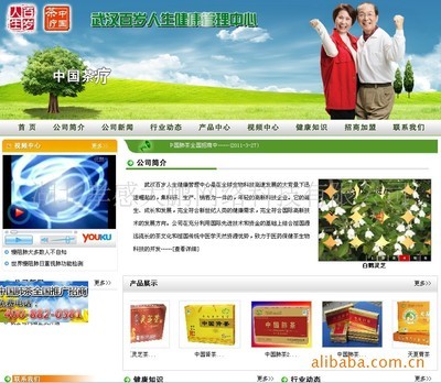 【企業(yè)網(wǎng)站建設(shè),找孝感網(wǎng)絡(luò)公司,大鵬網(wǎng)絡(luò)】?jī)r(jià)格,廠家,圖片,互聯(lián)網(wǎng)服務(wù),湖北孝感大鵬網(wǎng)絡(luò)科技-