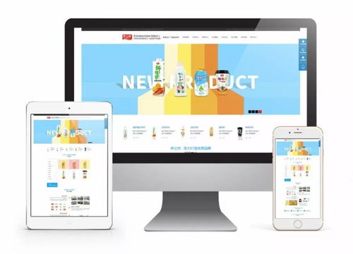 全網推廣助力武漢食品飲料企業拓展品牌影響力