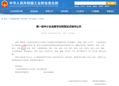 武漢市人民政府門戶網站與武漢企業網站 協同發展，共創城市新未來